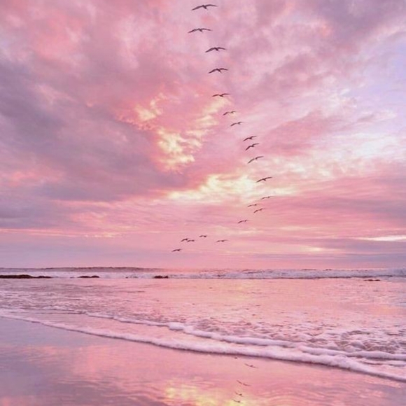 Meet your Posher, Tiffany - Picture 1 of 1